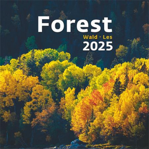 Dayliner Naptár faliForest (2025 évi)